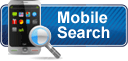 mobile idx search v10