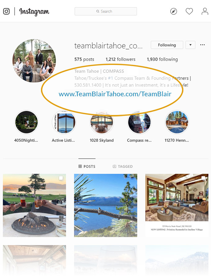 Instagram example link url